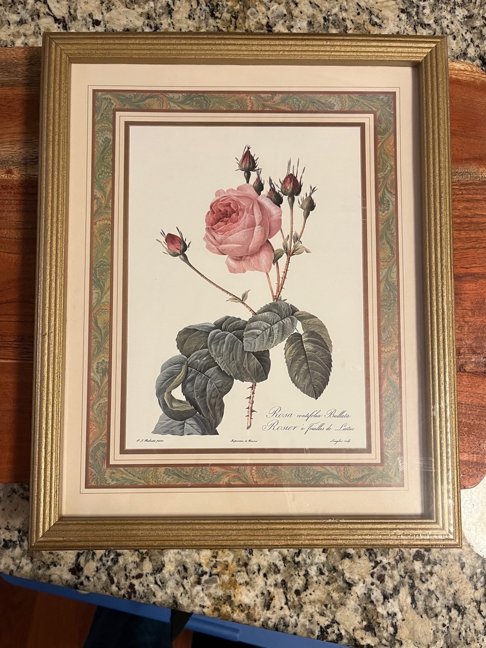 Vintage Pierre Joseph Reroute French Botanical Framed Rose Print new with tag